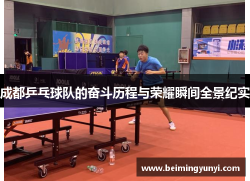 成都乒乓球队的奋斗历程与荣耀瞬间全景纪实